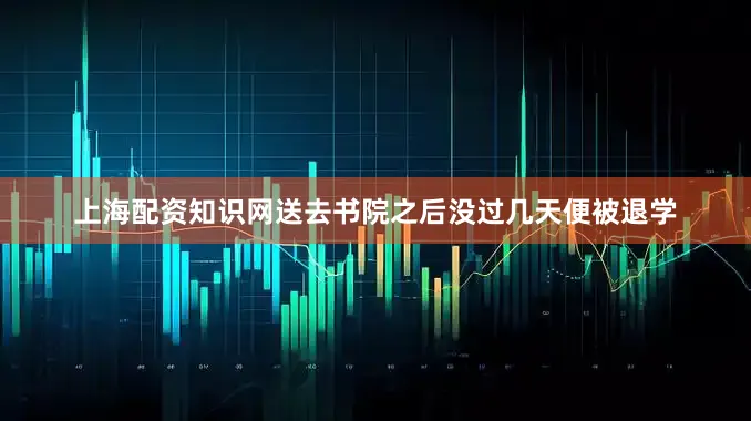 上海配资知识网送去书院之后没过几天便被退学