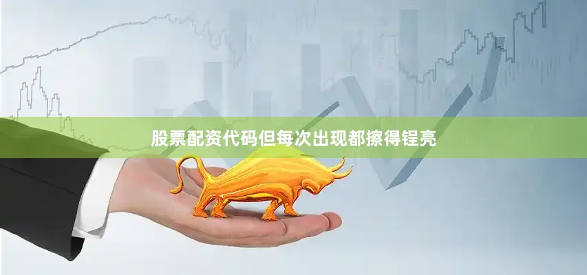 股票配资代码但每次出现都擦得锃亮