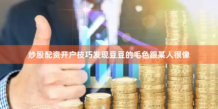 炒股配资开户技巧发现豆豆的毛色跟某人很像